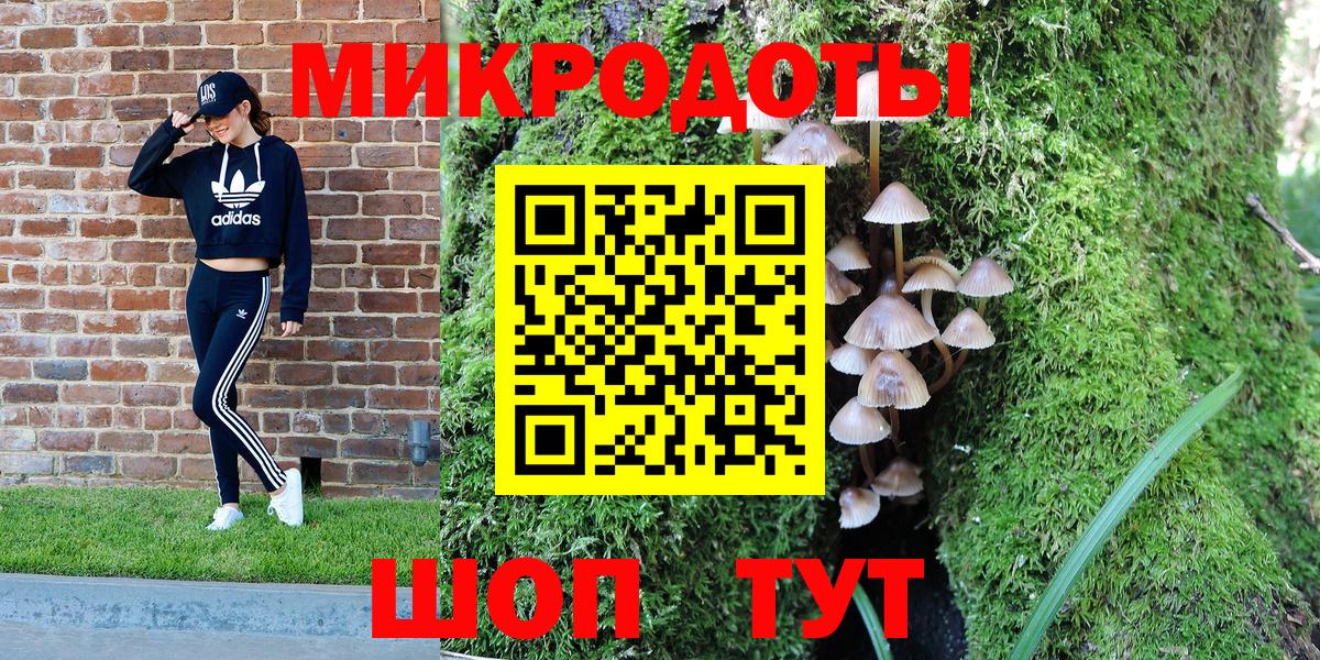 Гусь-Хрустальный  Галлюциногенные грибы MAGIC MUSHROOMS  Вход с VPN 